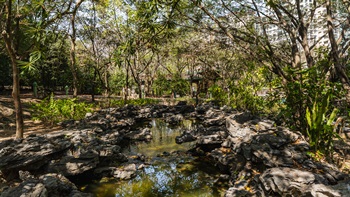 Several artificial streams course their way through the park. The water help cool the adjacent spaces and are the welcoming feature in the park.
